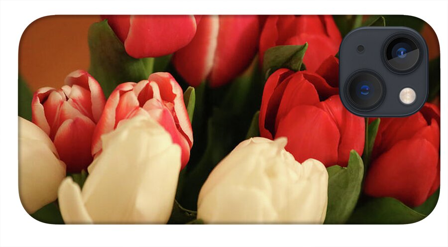 Tulips - Phone Case