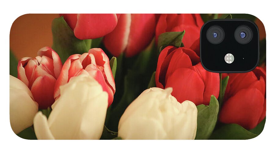 Tulips - Phone Case