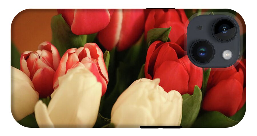 Tulips - Phone Case