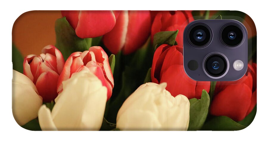 Tulips - Phone Case