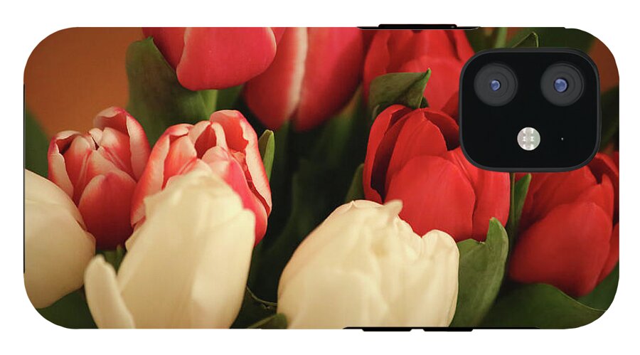 Tulips - Phone Case