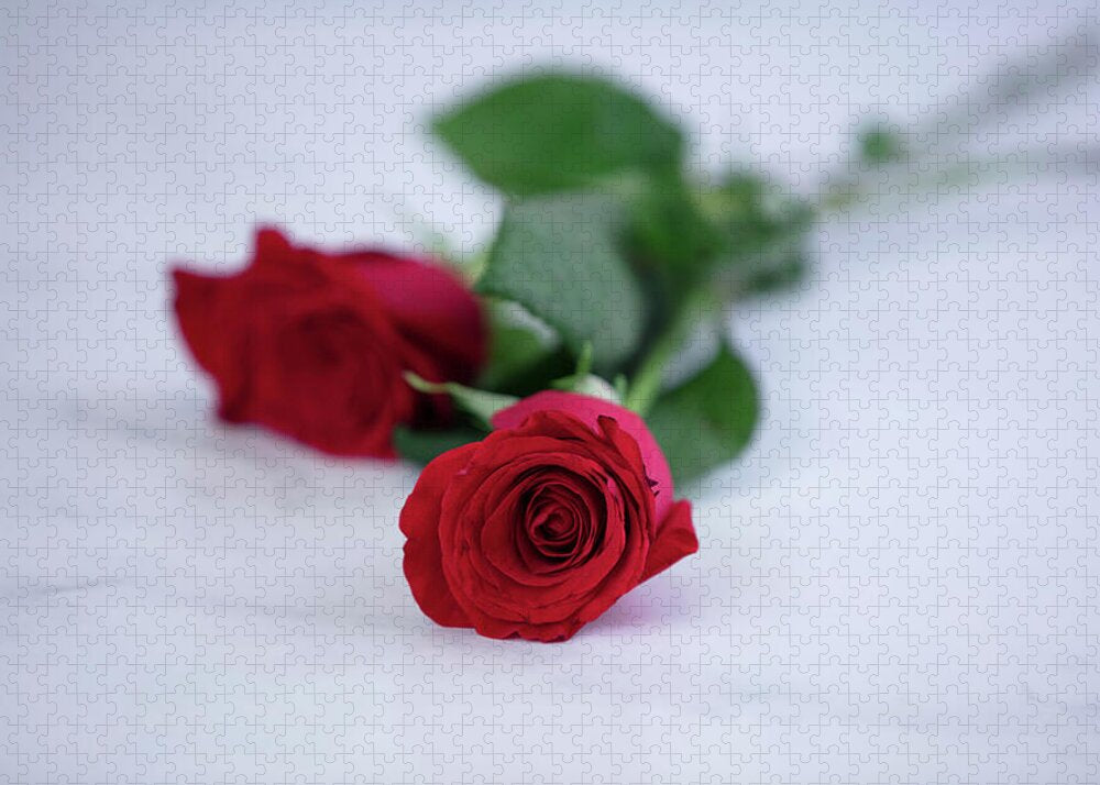 Roses II - Puzzle