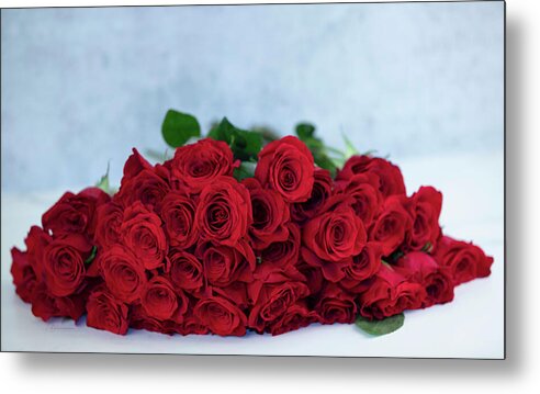 Roses - Metal Print