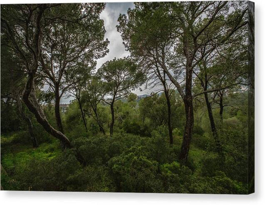 Hillside View from Spain Castle Gardens II - Canvas Print