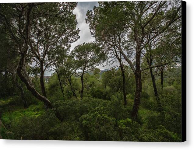 Hillside View from Spain Castle Gardens II - Canvas Print