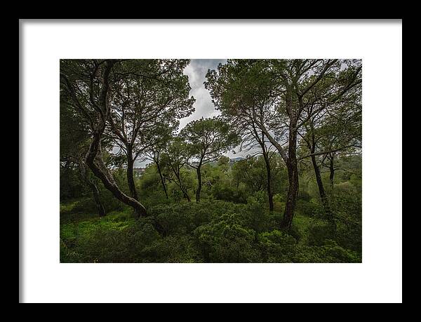 Hillside View from Spain Castle Gardens II - Framed Print