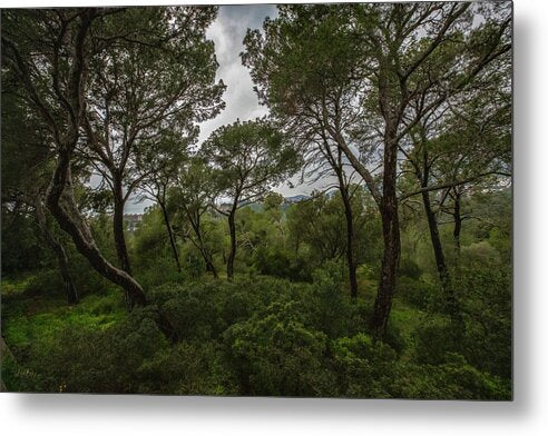 Hillside View from Spain Castle Gardens II - Metal Print