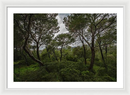 Hillside View from Spain Castle Gardens II - Framed Print