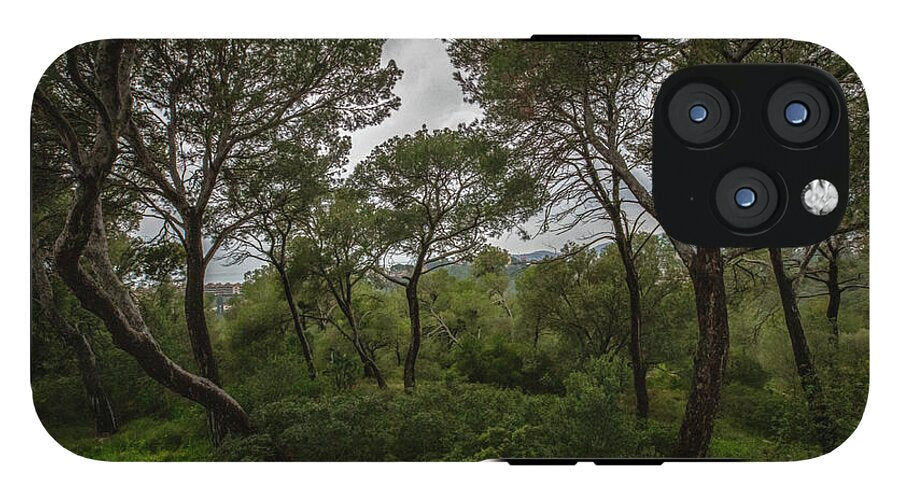 Hillside View from Spain Castle Gardens II - Phone Case