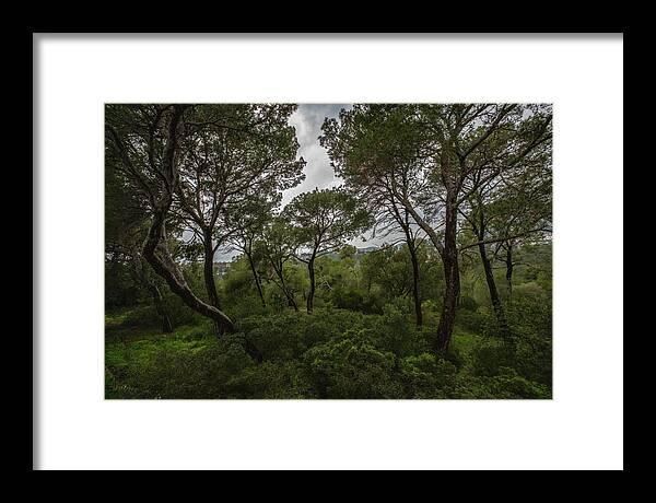 Hillside View from Spain Castle Gardens II - Framed Print