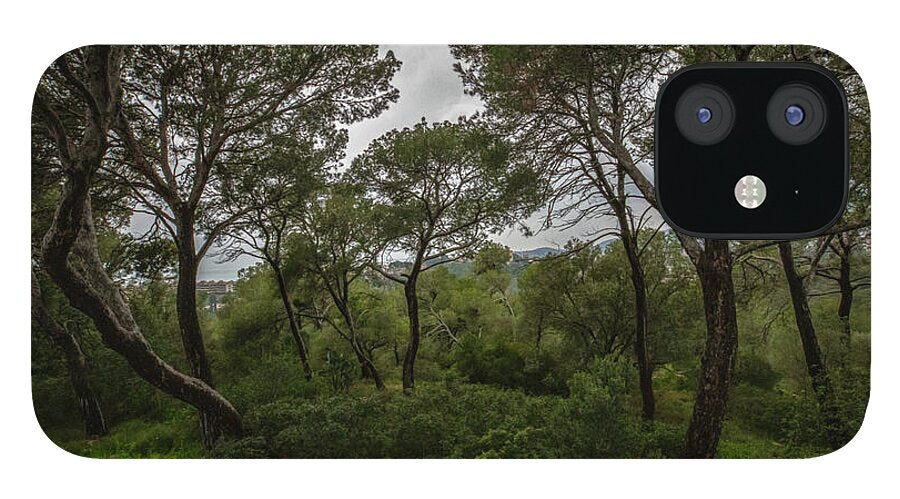 Hillside View from Spain Castle Gardens II - Phone Case