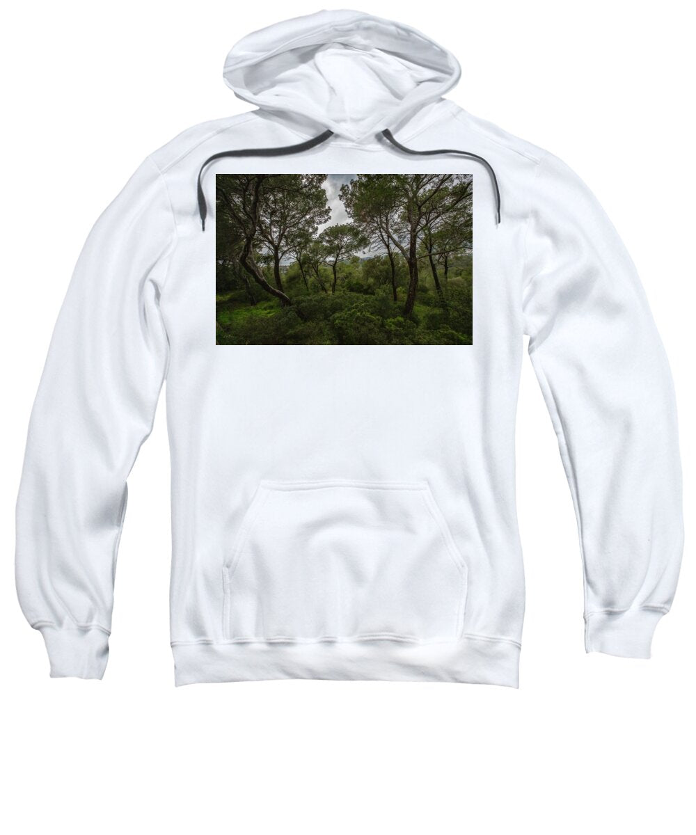 Hillside View from Spain Castle Gardens II - Sweatshirt
