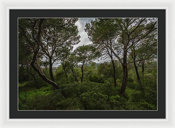Hillside View from Spain Castle Gardens II - Framed Print