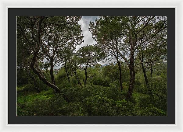 Hillside View from Spain Castle Gardens II - Framed Print