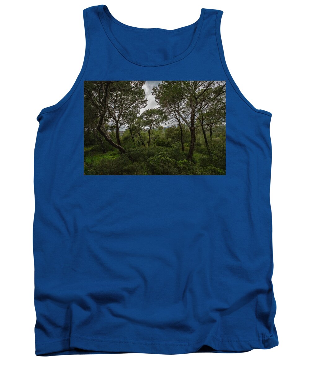 Hillside View from Spain Castle Gardens II - Tank Top