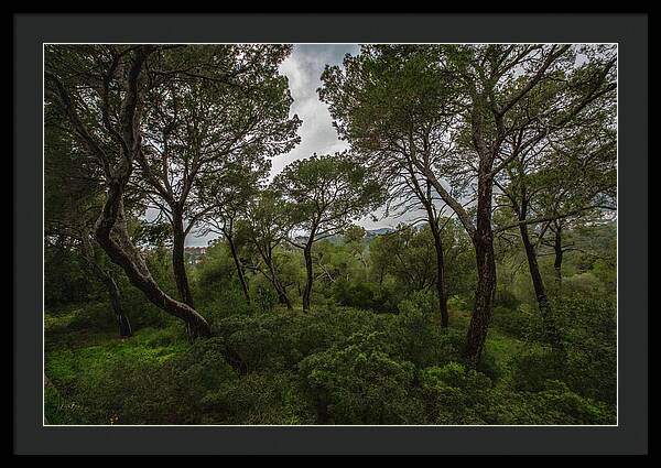 Hillside View from Spain Castle Gardens II - Framed Print