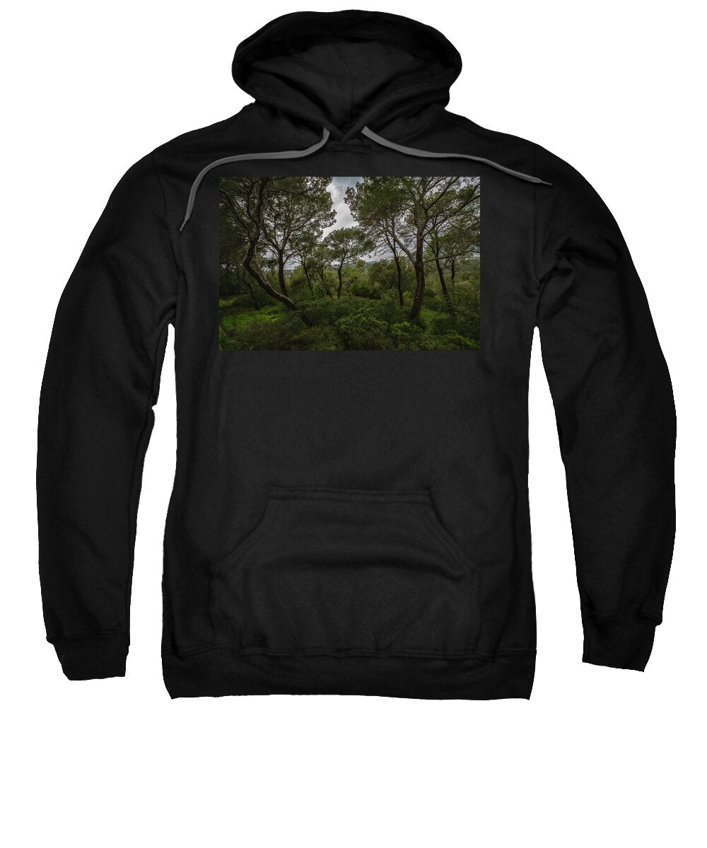 Hillside View from Spain Castle Gardens II - Sweatshirt