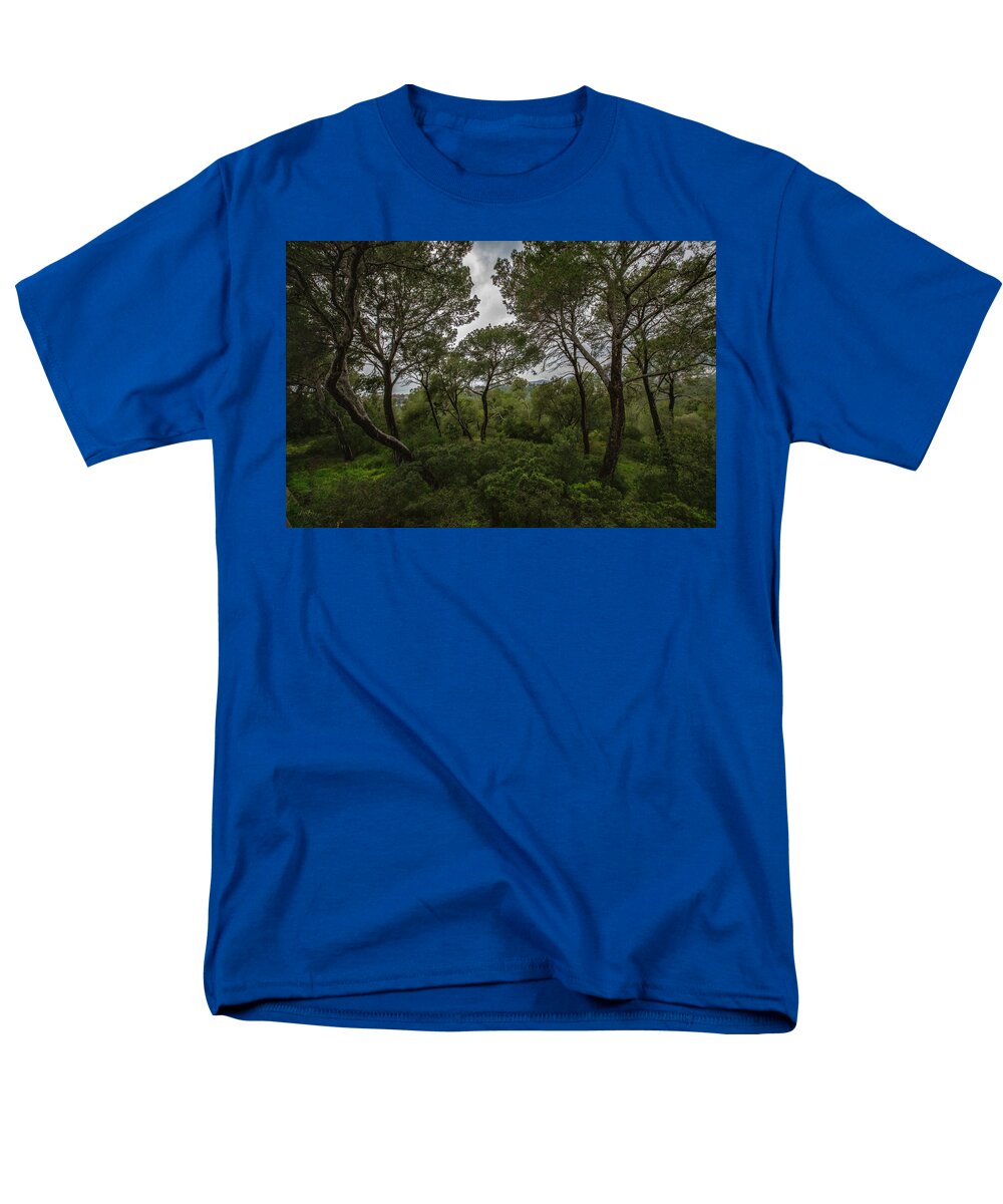 Hillside View from Spain Castle Gardens II - Men's T-Shirt  (Regular Fit)