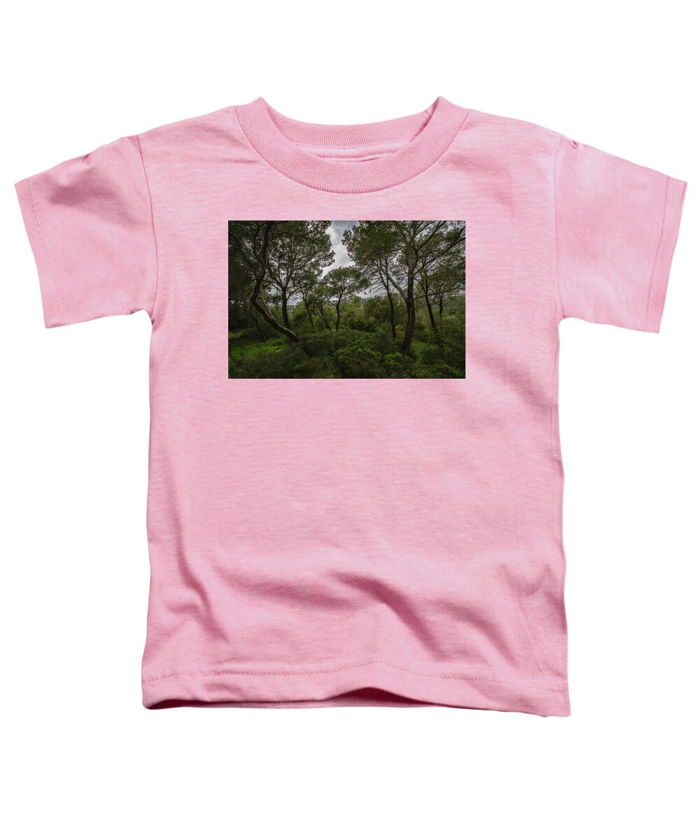 Hillside View from Spain Castle Gardens II - Toddler T-Shirt