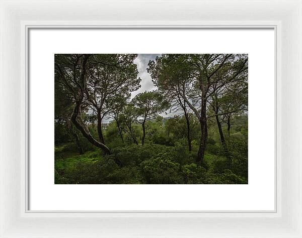 Hillside View from Spain Castle Gardens II - Framed Print