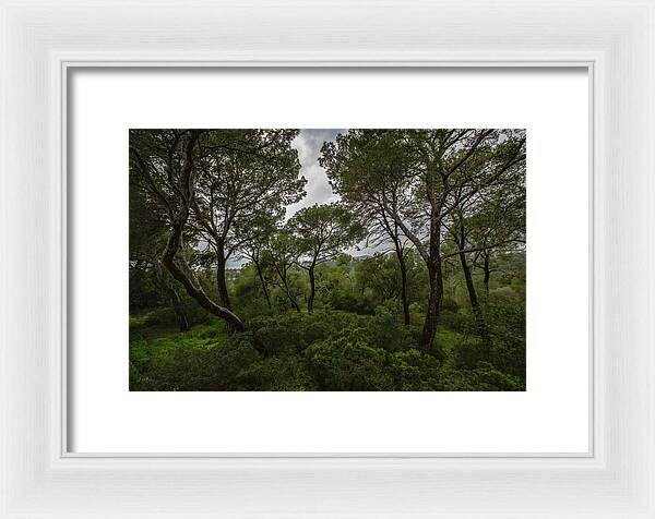 Hillside View from Spain Castle Gardens II - Framed Print