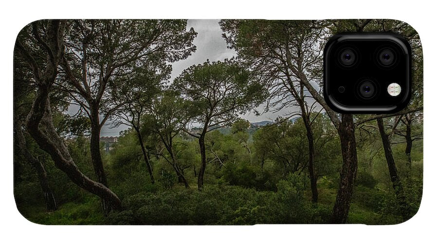 Hillside View from Spain Castle Gardens II - Phone Case