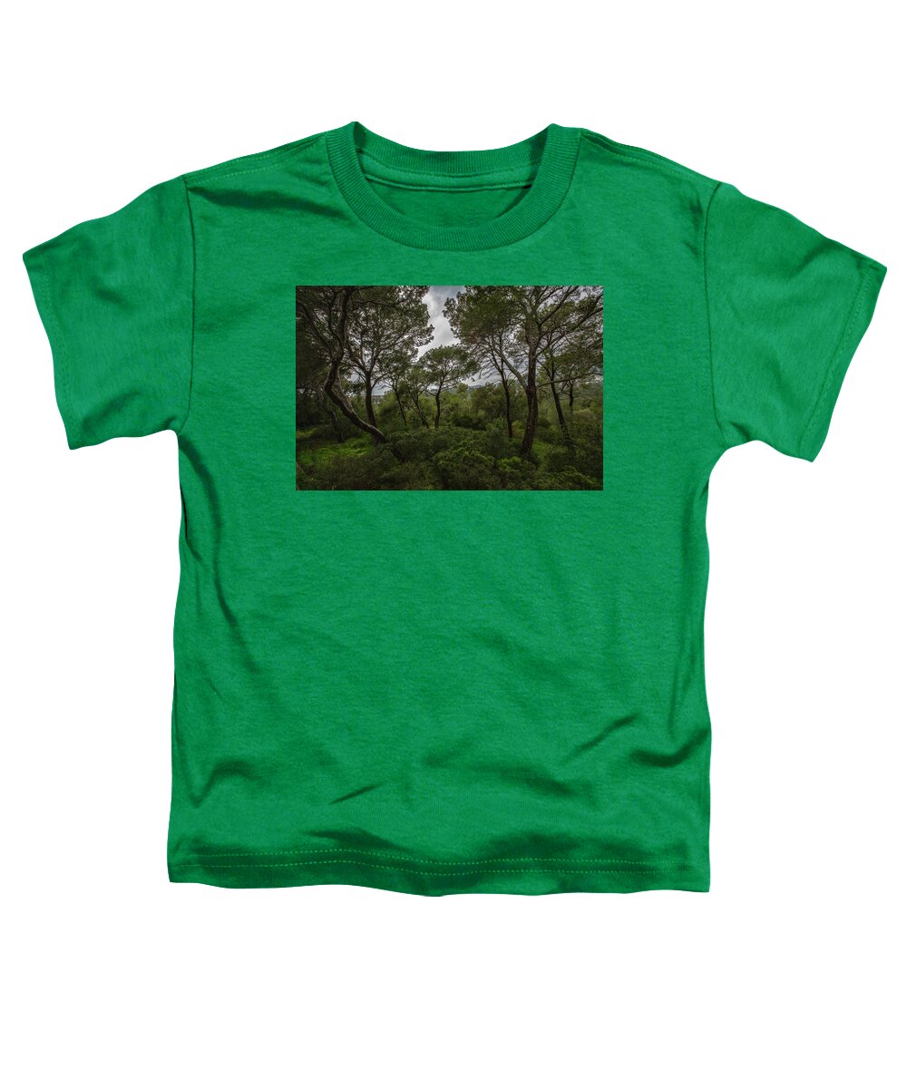 Hillside View from Spain Castle Gardens II - Toddler T-Shirt