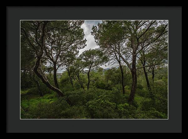 Hillside View from Spain Castle Gardens II - Framed Print