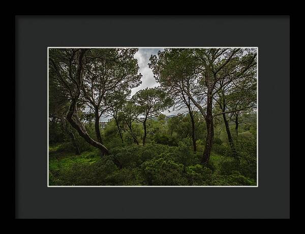 Hillside View from Spain Castle Gardens II - Framed Print