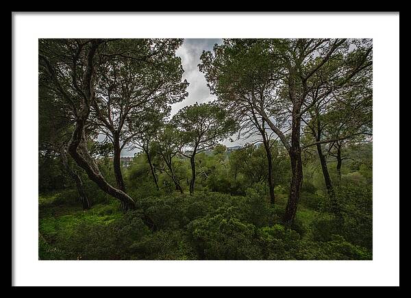 Hillside View from Spain Castle Gardens II - Framed Print