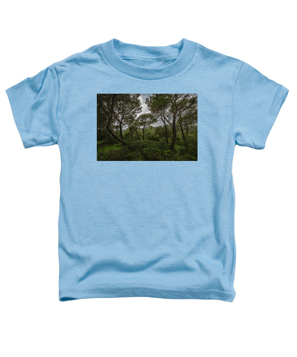 Hillside View from Spain Castle Gardens II - Toddler T-Shirt