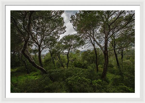 Hillside View from Spain Castle Gardens II - Framed Print