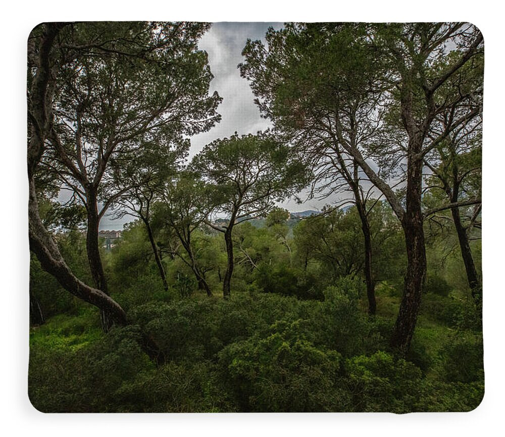 Hillside View from Spain Castle Gardens II - Blanket