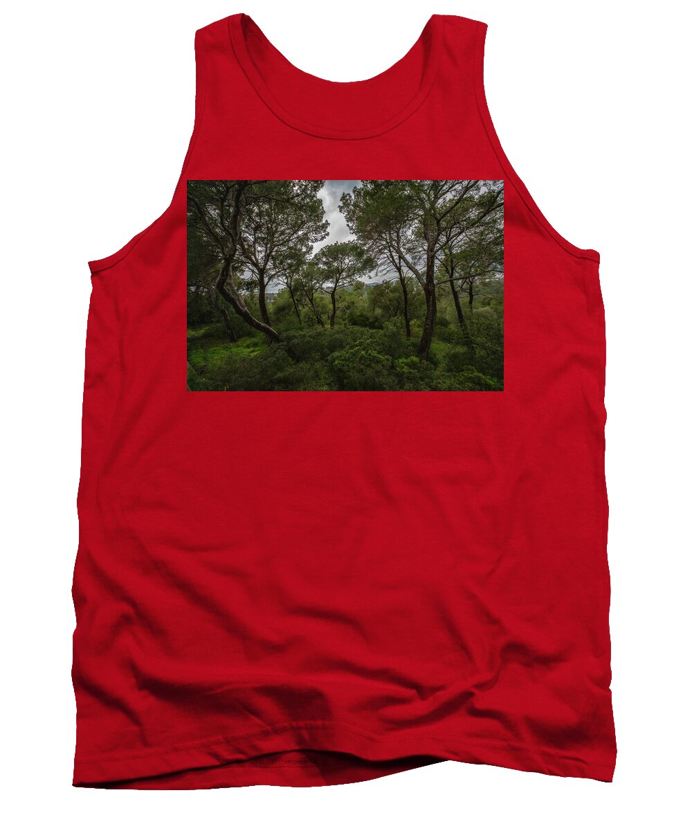 Hillside View from Spain Castle Gardens II - Tank Top