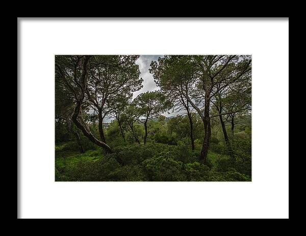 Hillside View from Spain Castle Gardens II - Framed Print