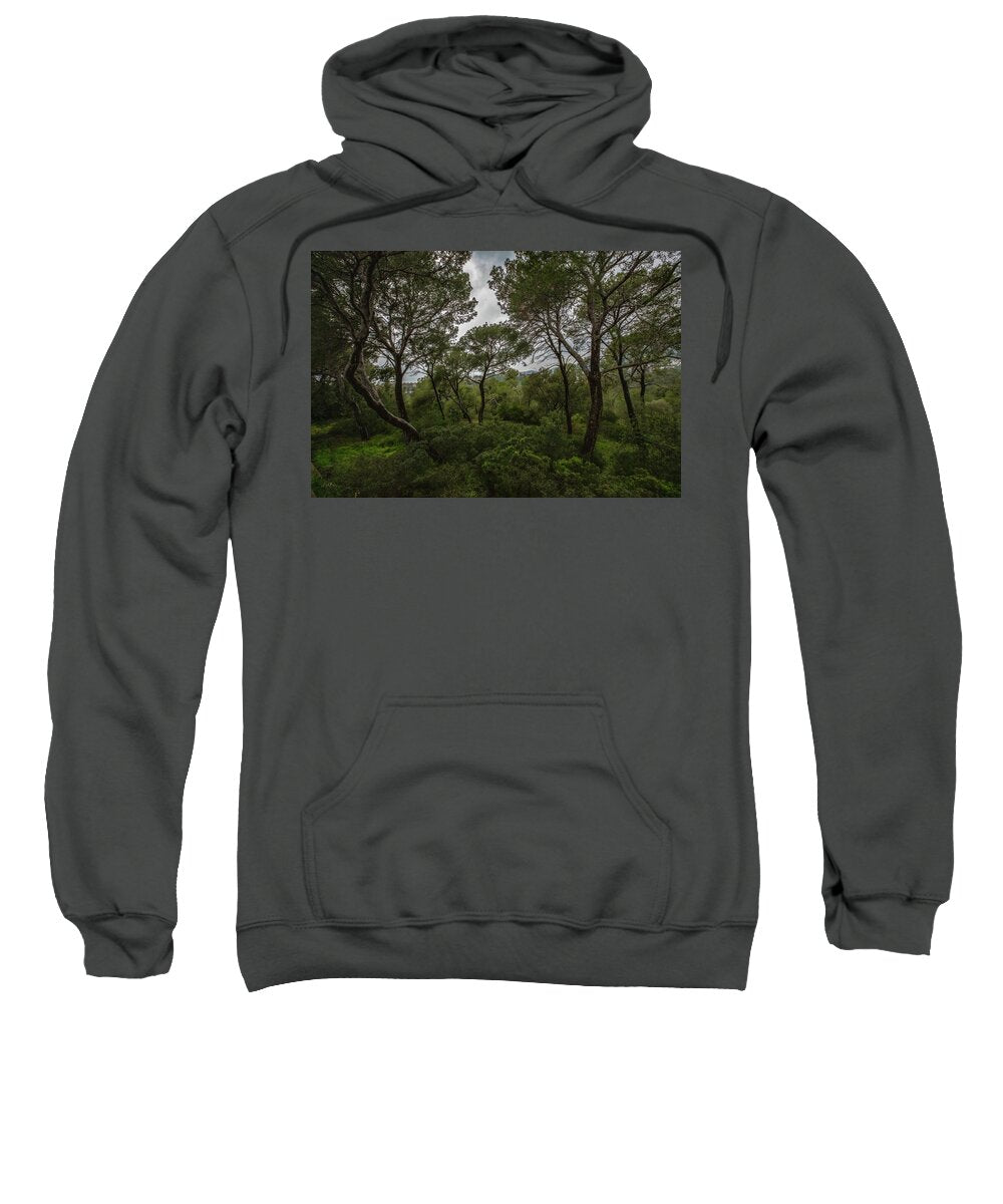Hillside View from Spain Castle Gardens II - Sweatshirt