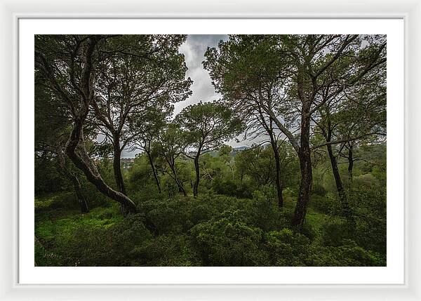 Hillside View from Spain Castle Gardens II - Framed Print