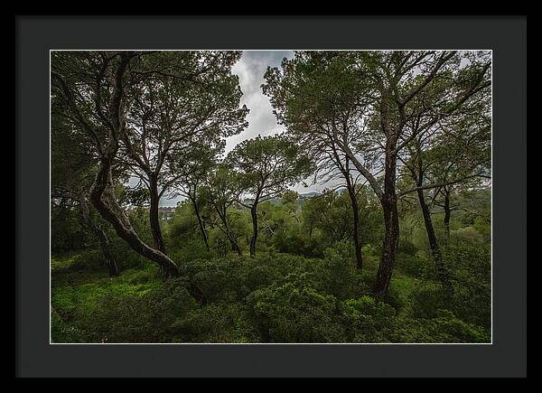 Hillside View from Spain Castle Gardens II - Framed Print
