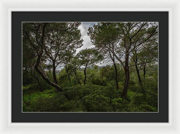 Hillside View from Spain Castle Gardens II - Framed Print