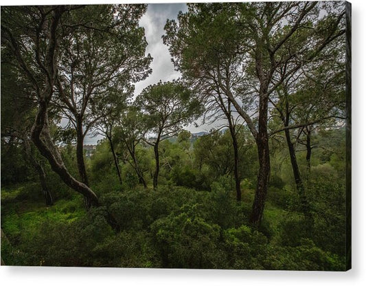 Hillside View from Spain Castle Gardens II - Acrylic Print