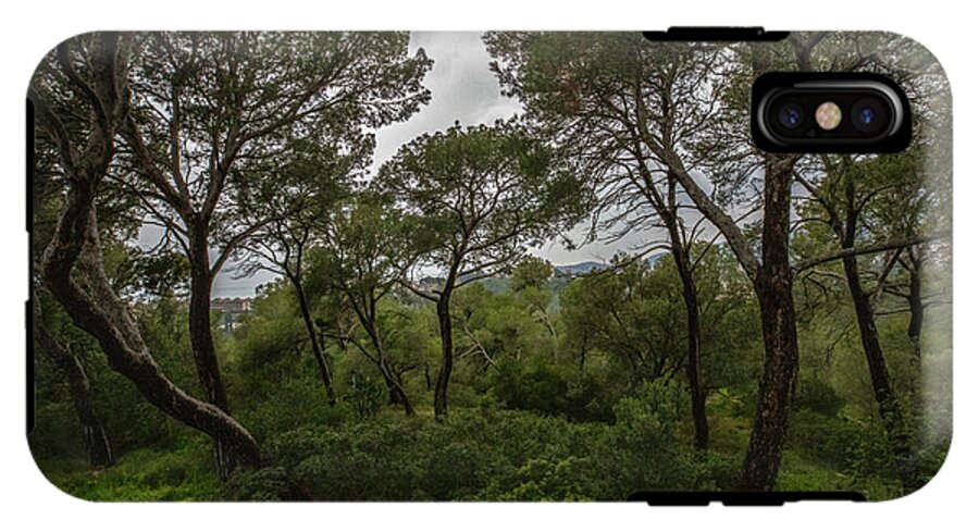 Hillside View from Spain Castle Gardens II - Phone Case