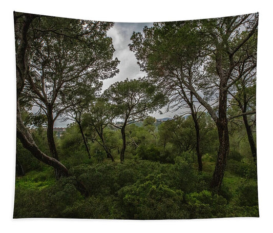 Hillside View from Spain Castle Gardens II - Tapestry