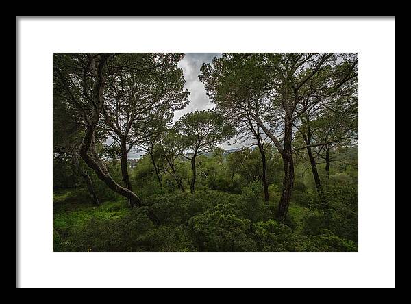 Hillside View from Spain Castle Gardens II - Framed Print
