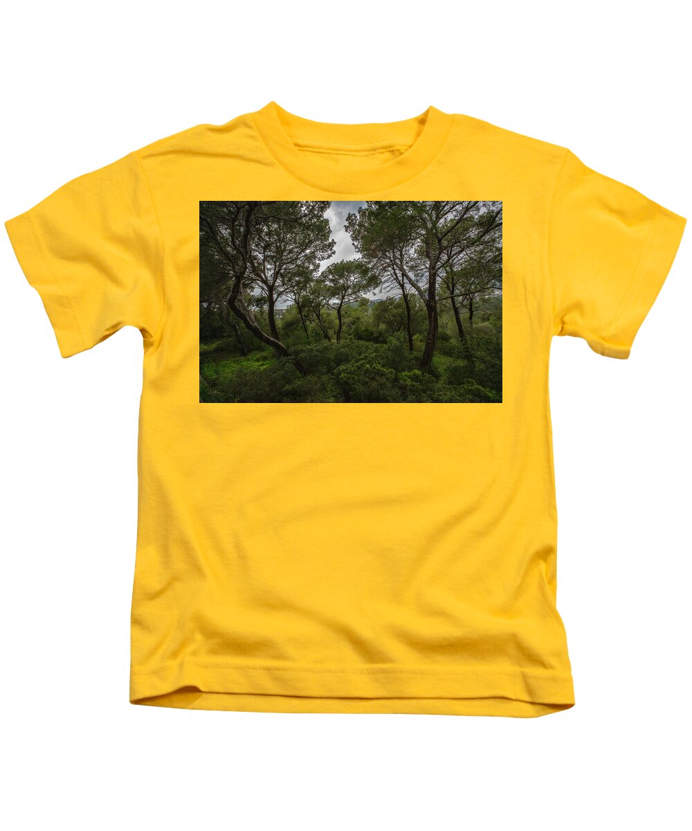 Hillside View from Spain Castle Gardens II - Kids T-Shirt