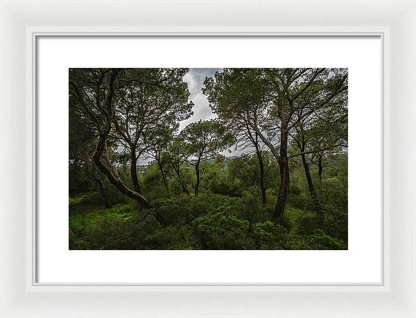 Hillside View from Spain Castle Gardens II - Framed Print