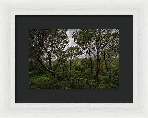 Hillside View from Spain Castle Gardens II - Framed Print