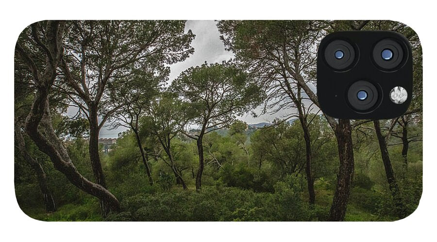 Hillside View from Spain Castle Gardens II - Phone Case