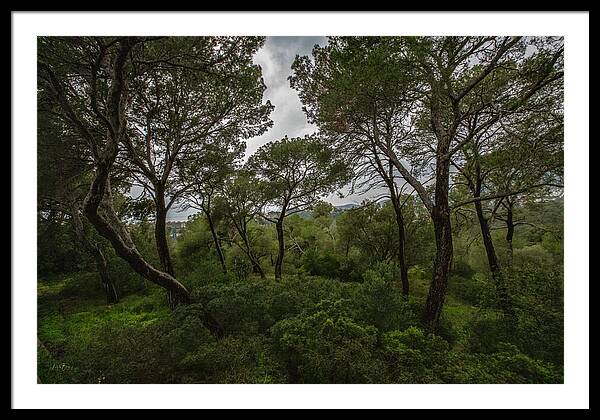 Hillside View from Spain Castle Gardens II - Framed Print