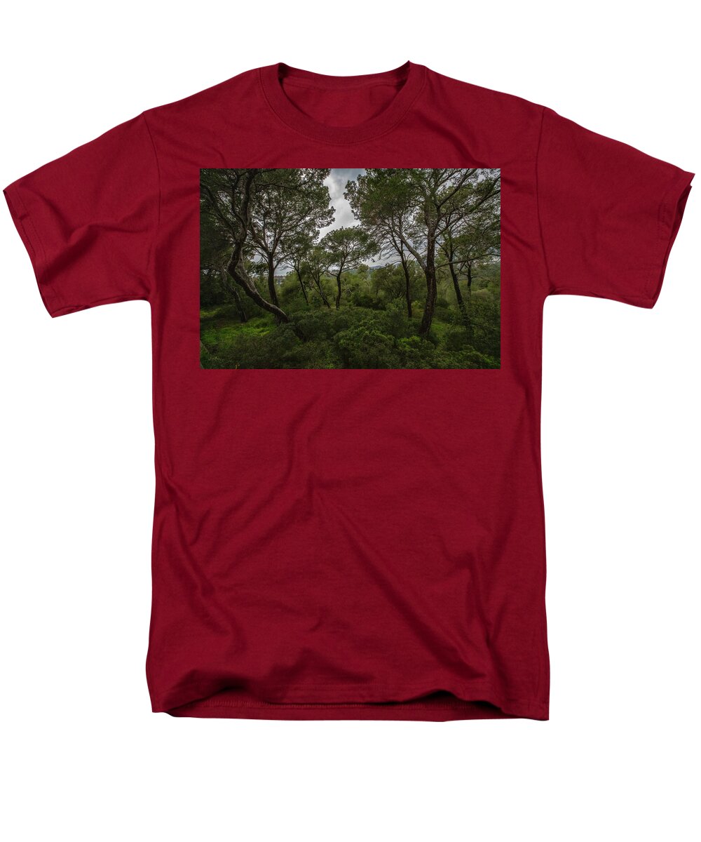 Hillside View from Spain Castle Gardens II - Men's T-Shirt  (Regular Fit)