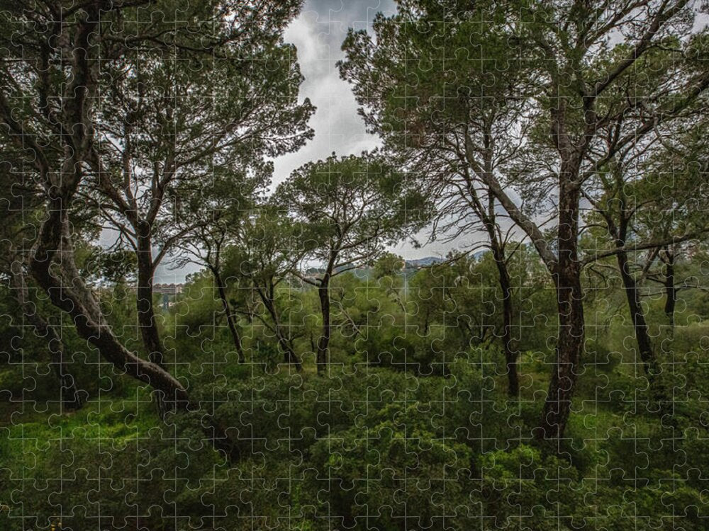 Hillside View from Spain Castle Gardens II - Puzzle